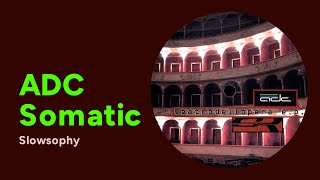 ADCSomatic: Slowsophy [from teatrodellopera e.p., Praxis 41, 2004]