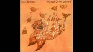 summer song james yorkston