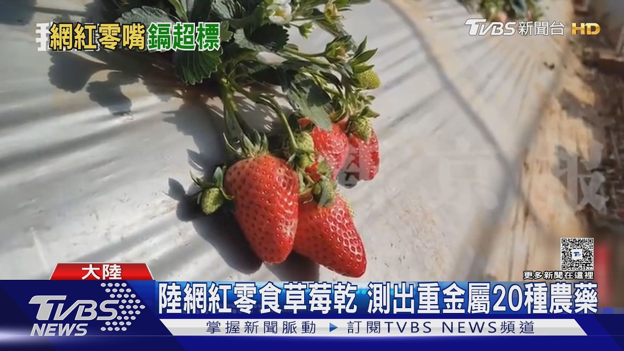 影音／禁用農藥全下肚！陸草莓乾「鎘超標」曝光　各大品牌急下架