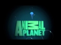 Animal Planet Intro