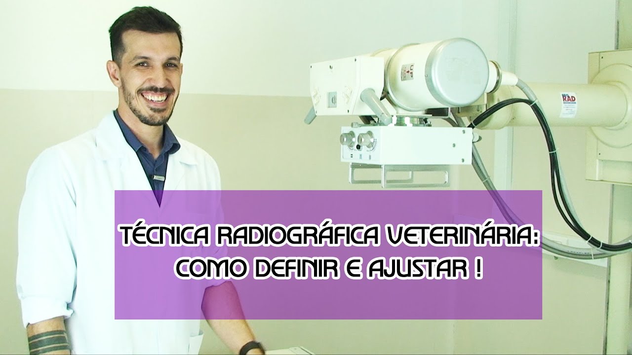 Técnica radiográfica veterinária: como definir e ajustar !