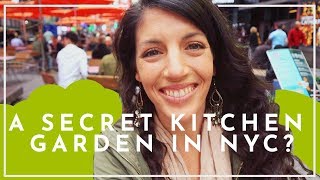They're Growing WHAT in New York Times Square? | The Journey to Homesteaders of America | Part 1