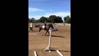 THE FACTS OF LOVE (Beau)