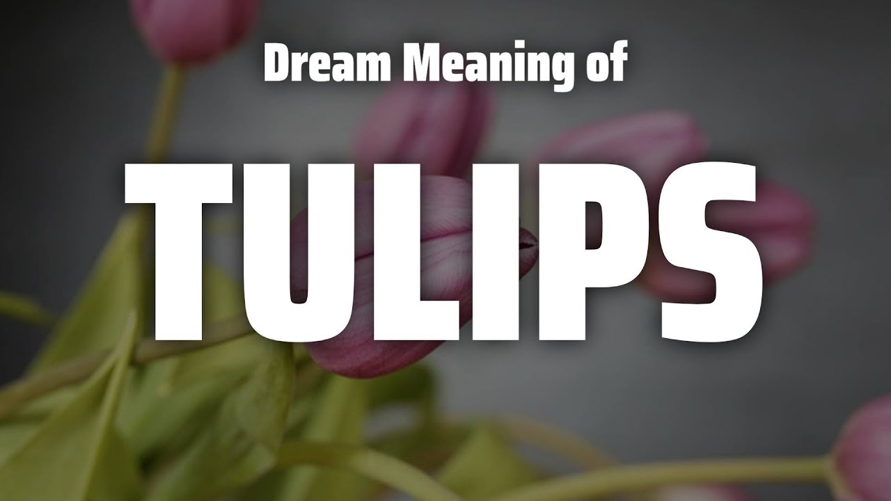 Tulips Dream Meaning & Symbolism