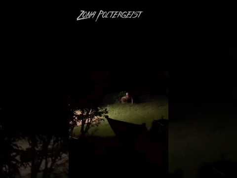 Criaturas extrañas captadas en camara