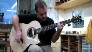 Andy McKee - Greenfield Guitars - Art of Motion