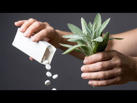 My Mom Came Back to Life Without Pills — She Was on the Edge