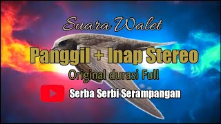 Download lagu SUARA WALET PANGGIL   INAP STEREO ORIGINAL mp3