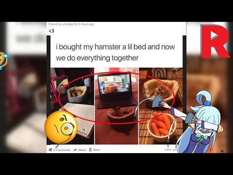 R/Humansbeingbros : Heartswarming people.