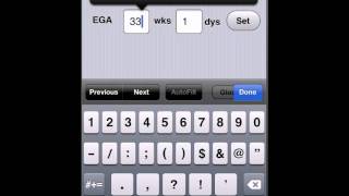 Pregnancy calculator