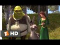 Shrek Love In The Air Fandango Family