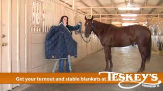 Stable and Turnout Blankets at Teskey's!