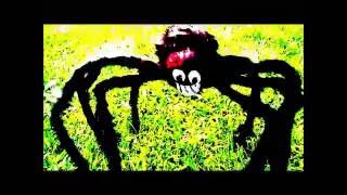 BORIS IS A SPIDER ( WARNING Video not Suitable for People with Arachnophobia)