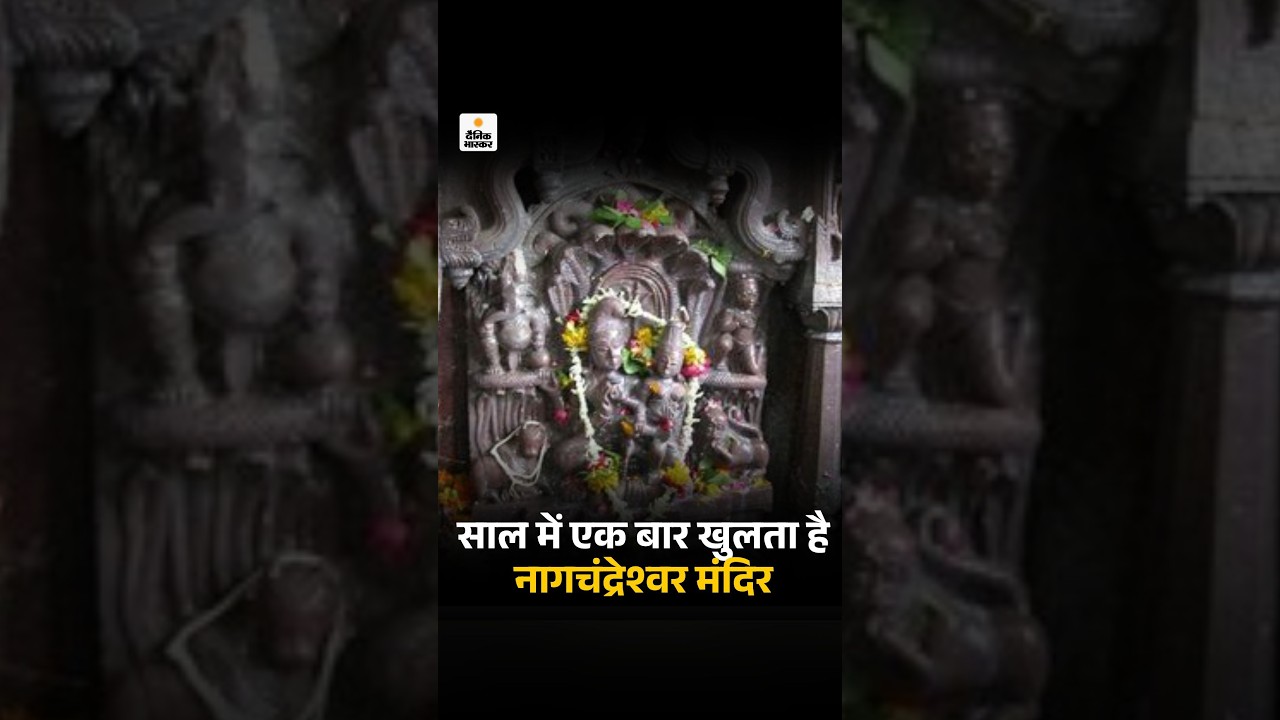 Nagchandreshwar Mandir Ujjain Opening: नागपंचमी पर साल में एक बार खुलता है नागचंद्रेश्वर मंदिर
