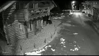 VIDEO: Urșii fac ravagii la Păltiniș - Au intrat într-un chioșc de gogoși și o cabană 3 video