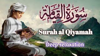Surah qiyamah tilawat||Al Qiyamah||سورةالقیامة|Qari Abdullah||Surah qiyamah reaction||QL Learning