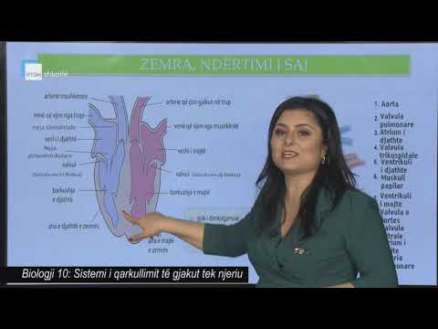 Biologji 10 - Sistemi i qarkullimit të gjakut tek njeriu
