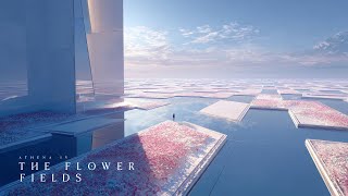 The Flower Fields – Aero Ambient for Stillness