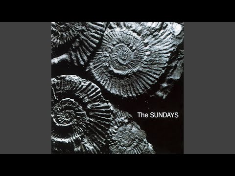 The Sundays You're Not the Only One I Know song