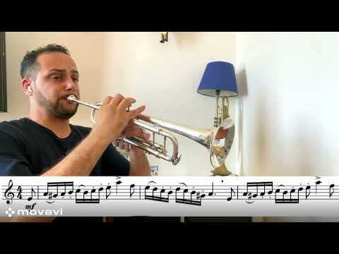 Nathan Ost n.17 - Characteristic Study