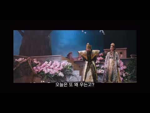 비디오 8