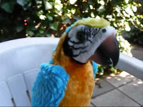 Kyra en de vrolijke vogel in de tuin