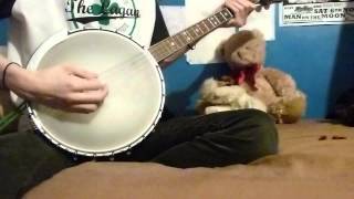 Dead Identities - Who's Louise, Bad Relgion - Social Suicide - Tenor Banjo Cover
