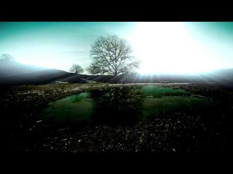 Trance - Manuel Le Saux feat. Astuni - 22 Years Later