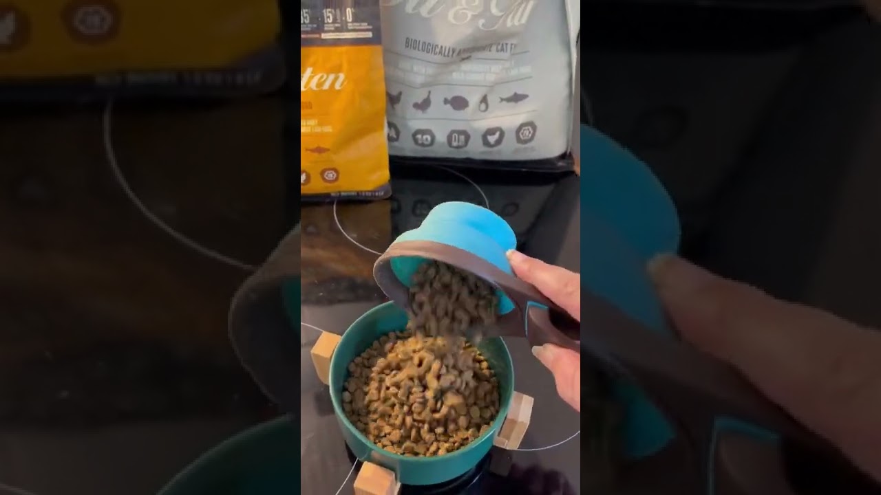 ORIJEN Fit & Trim Sans Céréales pour chat en surpoids - Zoomalia