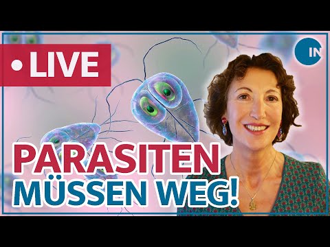 Parasiten – Schmarotzer im Darm | medical INSIGHTS