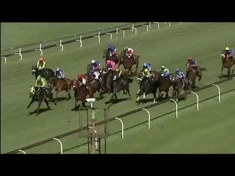 2018.12.01 Derby Run Merchants (RSA) - Nafaayes