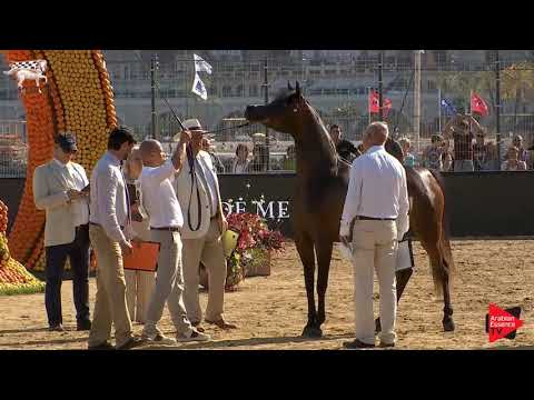 N.58 ERALDA - Menton 2019