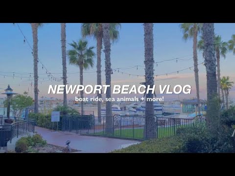 newport beach vlog : boat ride + sea creatures