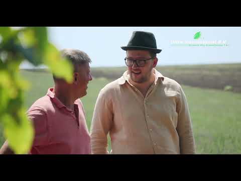 Exploring the  Moldova Fields: Ultra’s Commitment to Premium Quality Essential Oils