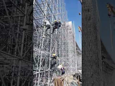 Scaffolder | Scaffolding#shorts