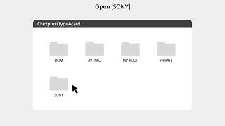 [閒聊] Sony 付費解鎖自定義參考線功能