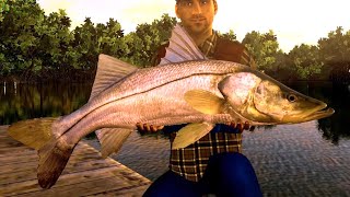 【釣りゲー】雑談しながらバス釣りとスヌーク釣り。「フィッシングプラネット」(fishing planet)LIVE