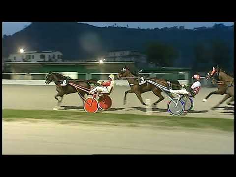 Trotto 08/01/2021 - 7ª corsa