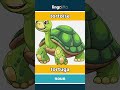 tortoise - tortuga video thumbnail