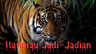 Download lagu MARDIAN SI HARIMAU JADI-JADIAN | MISTERI GUNUNG MERAPI | SEMBARA (FENDY PRADANA), FARIDA (IDA IASHA) mp3 Download lagu MARDIAN SI HARIMAU JADI-JADIAN | MISTERI GUNUNG MERAPI | SEMBARA (FENDY PRADANA), FARIDA (IDA IASHA) mp3