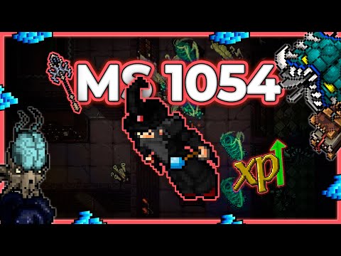 MS 1054 Hunt x4 Secret Library Ice Section 10.2kk/h Raw - Tibia Hunt [13.05] #tibia #tibiahunt