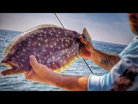 Jigging Flounder in Deep Water! (BIG RESULTS from Small Change in Method!)
