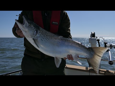 vlog #4 Laxtrolling i April (tvådagars på Vänern)
