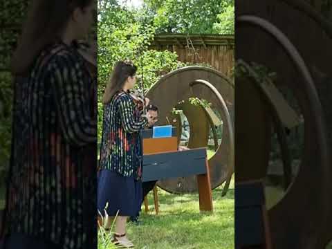 Elegy for Fukushima | Malwina Sosnowski (Violin) and Benyamin Nuss (Piano)