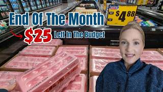 $200 Per month grocery budget For 3: Using Up The Last $25 | Frugal Grocery Haul 03-26