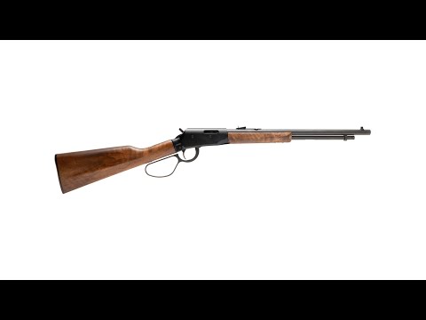 Gun Of The Week: Savage Arms Revel Classic