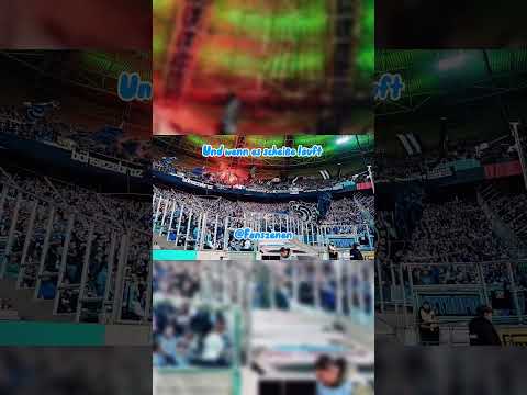 MSV Duisburg Ultras | Zebras im Europacup | #football #ultras #tiktok #shorts #shortsfeed