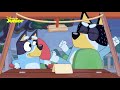 Bluey The Taxi Driver Bluey Disney Junior Arabia