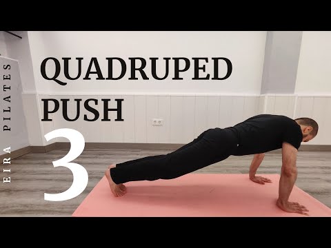 Quadruped Push 3
