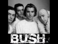 Bush - Greedy Fly Lyrics 1996